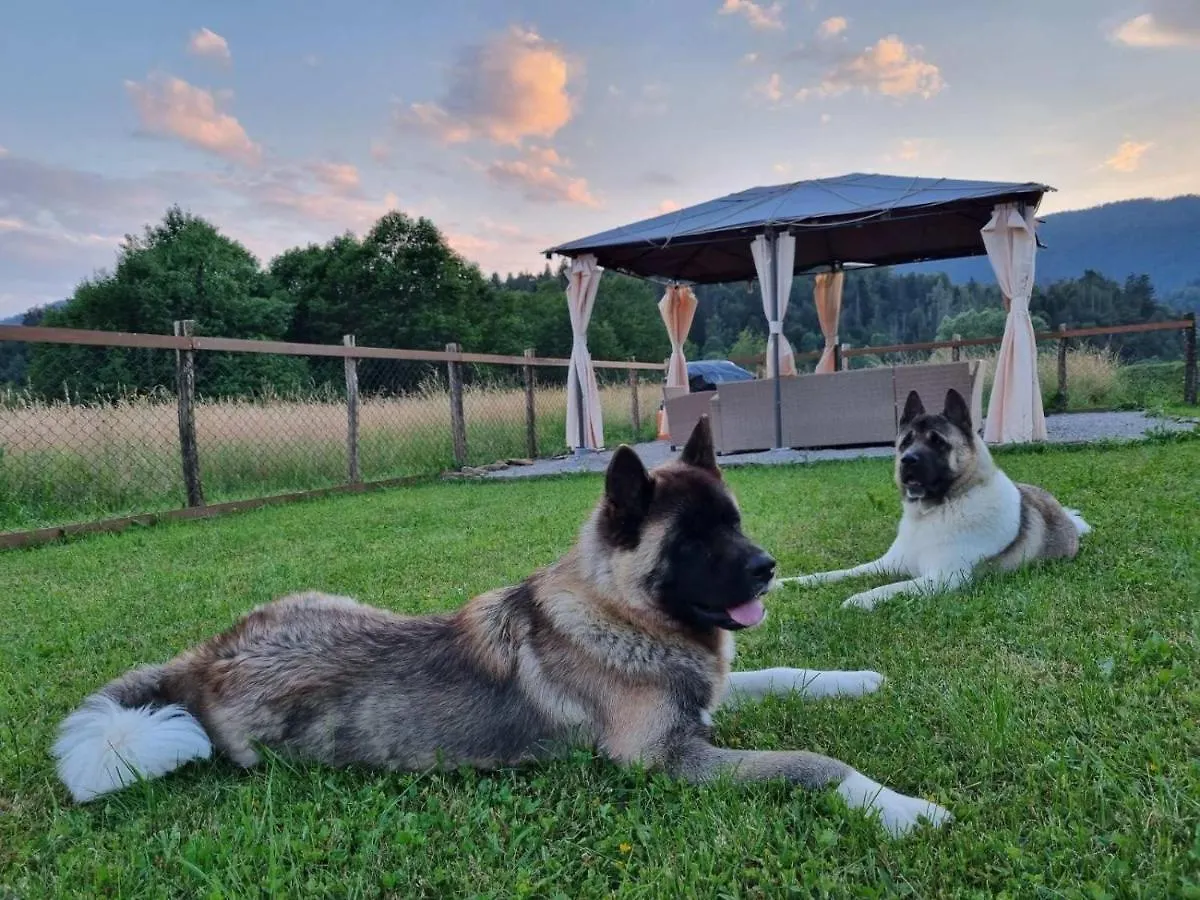 Villa Ursus Smrecje Croatia
